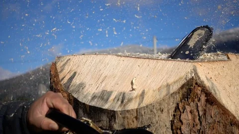 Woodworker is curly cutting cedar with Chainsaw Stock Footage 81664886