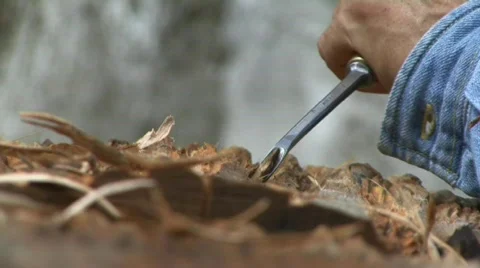 Woodworker Stock Footage 495306