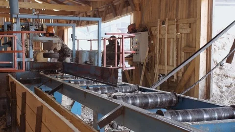 Woodworker splits tree log on industrial saw workbench Stock Footage 85520786