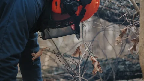 Woodworker is using a chainsaw to cut a tree trunk, close-up Stock Footage 120465850