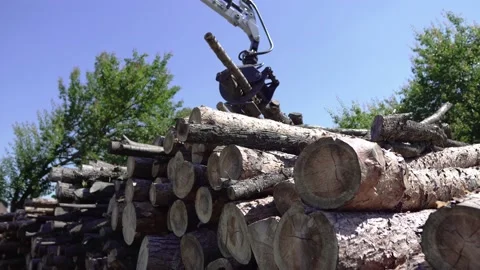 Woodworking and logging Stock Footage 182094259