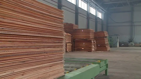 Woodworking complex. Finished goods warehouse. Plywood production. Stock Footage 79321891