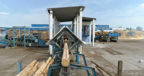 Woodworking factory. conveyor for sorting logs. Stock Footage 100670866