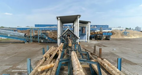 Woodworking factory. conveyor for sorting logs. Stock Footage 100670902