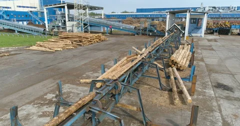 Woodworking factory. conveyor for sorting logs. Stock Footage 100671192
