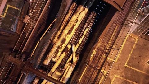 Woodworking. Logs moving on a conveyor for processing into wood chips Stockbeeldmateriaal 297259111