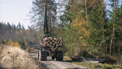 Woodworking machine drives on forest path Stock Footage 143736745