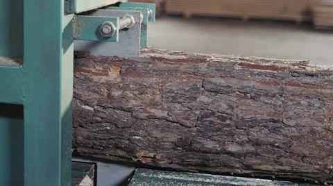 Woodworking machine saw logs Stock Footage 62508556
