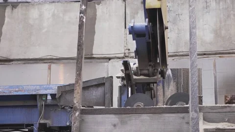 At the woodworking plant on the automatic line, a circular saw cuts the tree Stock Footage 130878271