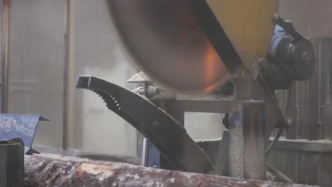 At the woodworking plant on the automatic line, a circular saw cuts the tree Stock Footage 130878512