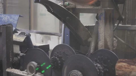 At the woodworking plant on the automatic line, a circular saw cuts the tree Stock Footage 130878518