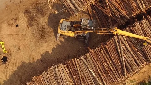 Woodworking plant. Loading logs. Stock Footage 70867198