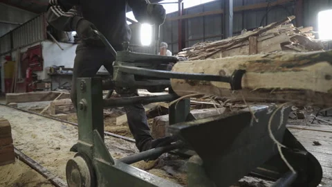 Woodworking Workshop Carpenter Fixating Tree Log For Industrial Sawing Process Stock Footage 157975832