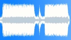 Woodworm Stock Music