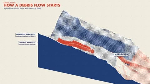 Woody Debris Flow Initiation Rainfall Trigger Diagram Two Ink Print Vídeo Stock 343818270