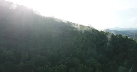 Woody Gap Drone Stock Footage 133525890