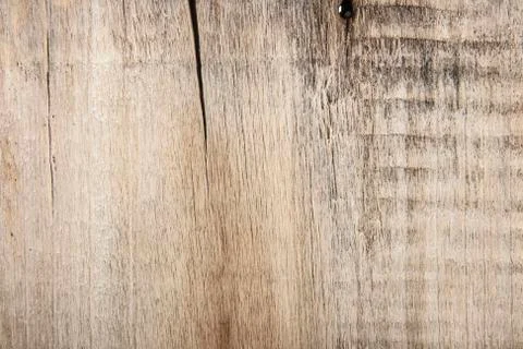 Woody texture as background Stock Photos