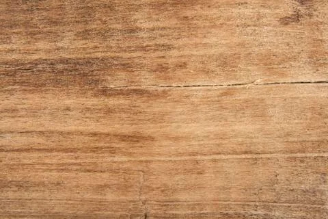 Woody texture as background Stock Photos
