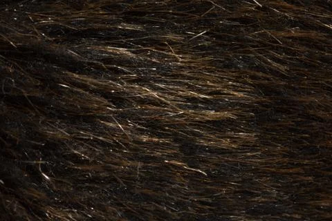 Wool as background Stock Photos