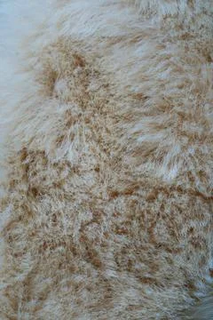 Wool background Stock Photos