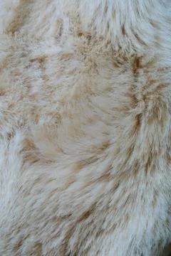 Wool background Stock Photos