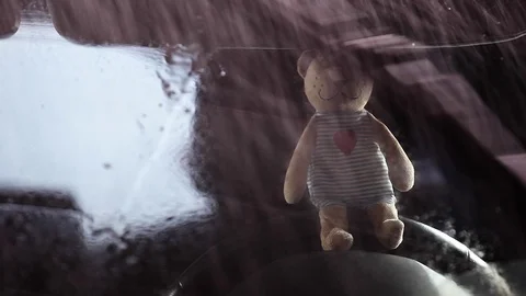 Wool bear car window rain hd footage Stock Footage 103507413