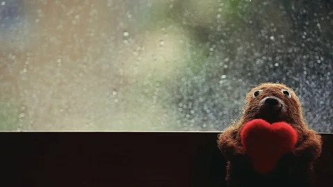 Wool Bear Heart Rain Drops Video stock 89938161