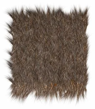 Wool Bear Illustrazione stock