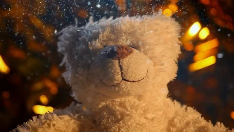 Wool bear snow footage Stock Footage 94145666