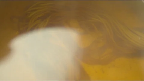 Wool being boiled on pot in kitchen at home Stock Footage 76098015