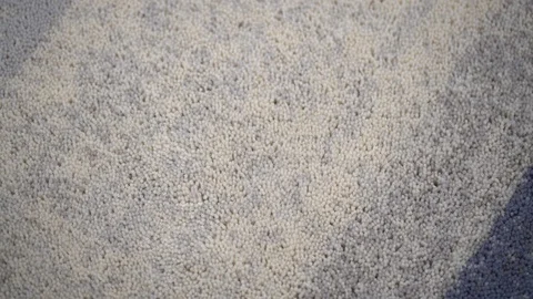 Wool fiber Stock Footage 101324646