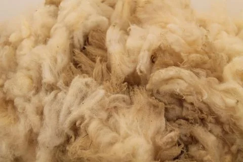 Wool Fleece. Foto stock