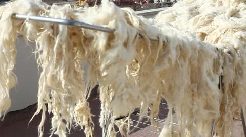 Wool Stock Footage 20548463