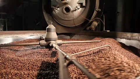 Wool grains in a factory. Stock Footage 171219611