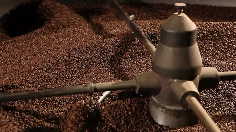 Wool grains in a factory. Stock Footage 171219705