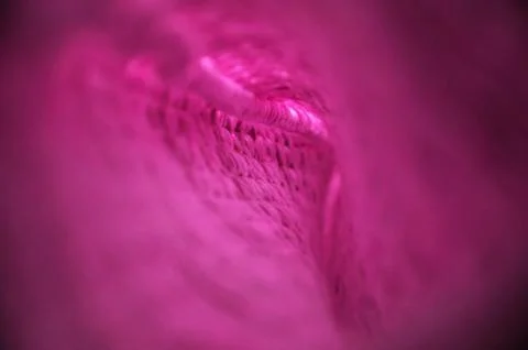 Wool pattern Stock Photos