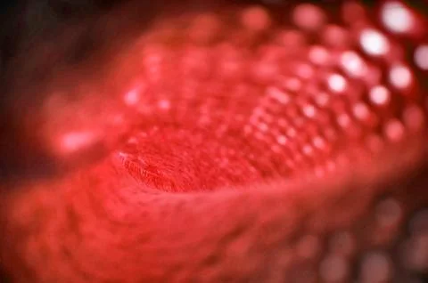 Wool pattern Stock Photos