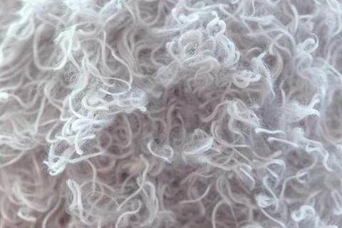 Wool Stock Photos