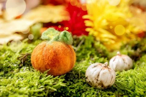Wool pumpkins on moss Stock Photos