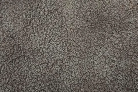 Wool sheep closeup Stock Photos