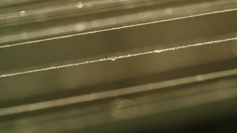 Wool strings 2 Stock Footage 143254154