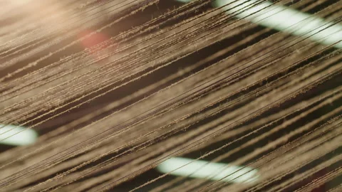 Wool strings 3 Stock Footage 143254375