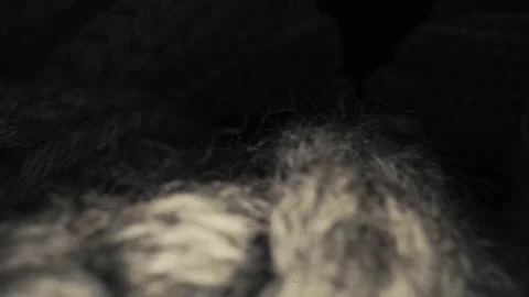Wool  Texture grey Probe Lenses Super Close Up Stock Footage 151093993
