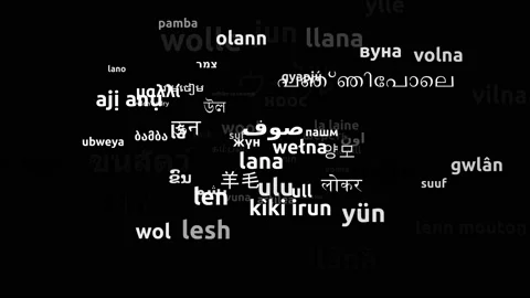 Wool Translated in 71 Worldwide Languages Endless Looping 3d Zooming Wordclou Stock Footage 145194468