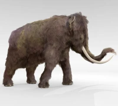 Woolly Mammoth Illustrazione stock