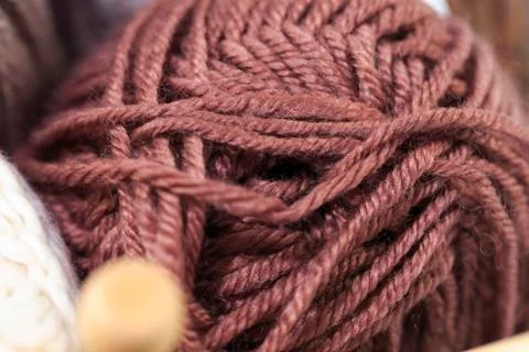 Woolly Stock Photos