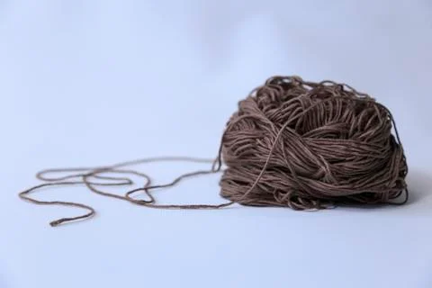 Woolly Stock Photos