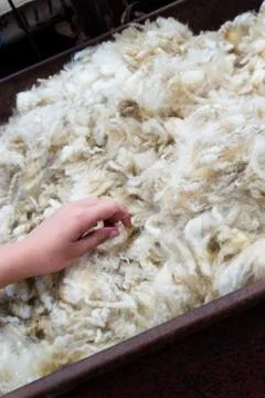 WoolPress Stock Photos
