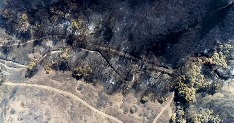 Woolsey Fire Aftermath Stock Footage 99612212