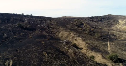 Woolsey Fire Aftermath Stock Footage 99612216